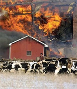 Reducing the Risk of Fire on your Farm